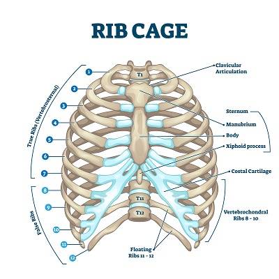 Sore After a Car Accident? Six Injuries With Delayed Symptoms